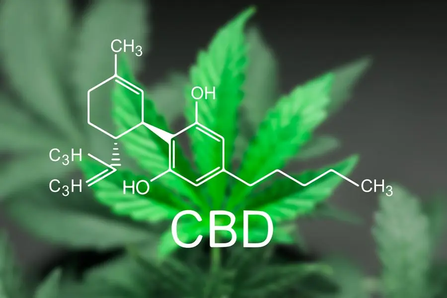 CBD CBD