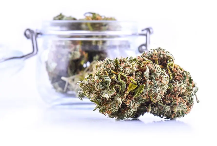Endokannabinoidy Endokannabinoidy